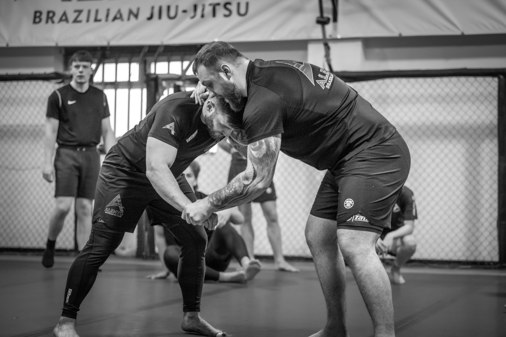 BJJ — No Gi class at Alento BJJ